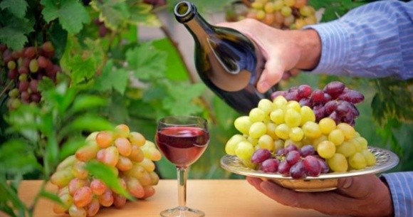 Новий закон сприятиме створенню сімейних виноробень фото, ілюстрація
