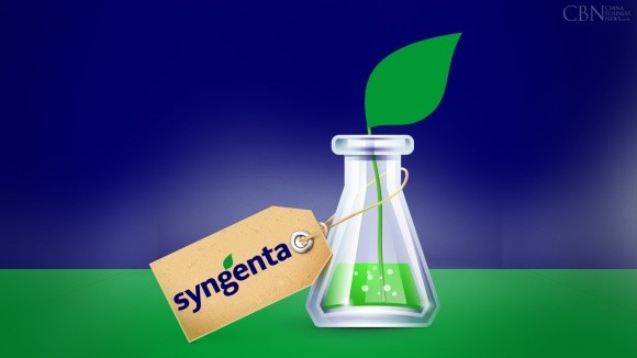 Syngenta виводить на ринок РФ гібридну пшеницю із підвищеною врожайністю фото, ілюстрація