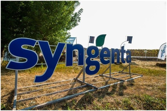 Syngenta законтрактувала 317 тис. т сільгосппродукції в Україні фото, ілюстрація