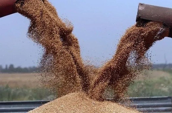 «Сірий» експорт зерна зменшився з 30% до 18%, – Денис Марчук фото, ілюстрація