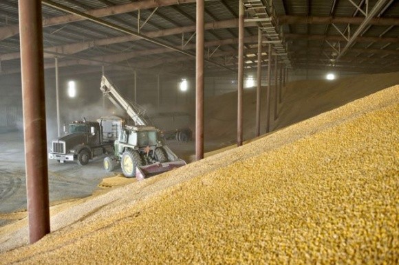 Запаси зернових і зернобобових в Україні за рік скоротились на третину фото, ілюстрація