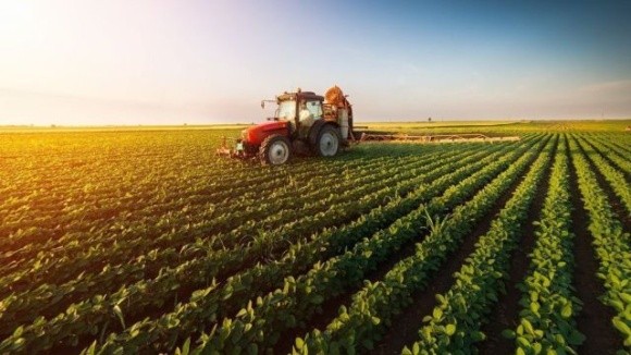 Єврокомісія готова домовитися з країнами ЄС про скорочення пестицидів фото, ілюстрація