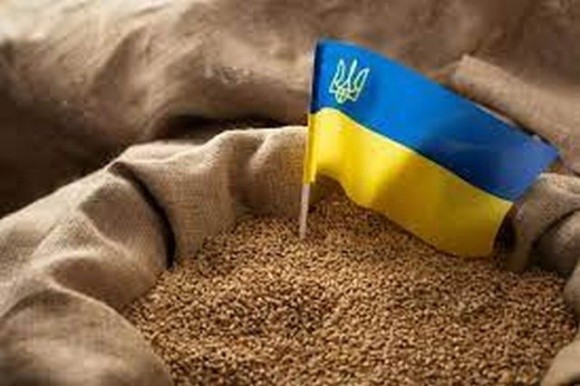 Словаччина дозволила імпорт зерна з України фото, ілюстрація