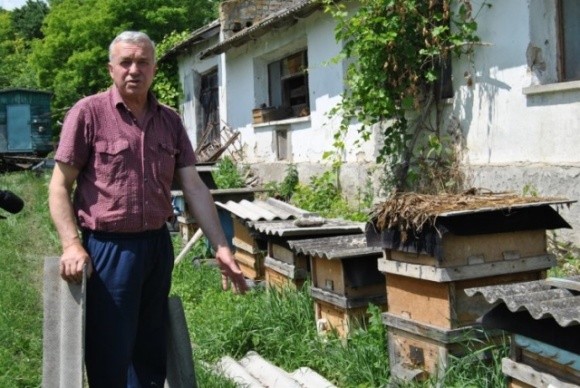 На Хмельниччині знову зафіксували факт масової загибелі бджіл фото, ілюстрація
