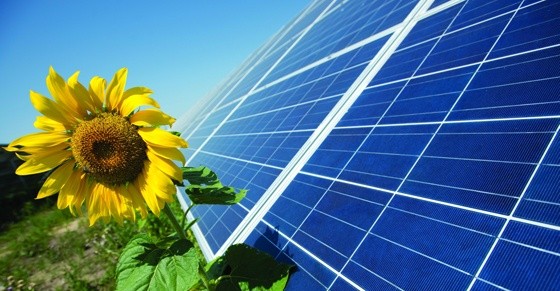 На Херсонщині побудують сонячну електростанцію за $10 млн фото, ілюстрація