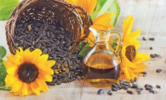 В Україні швидко скорочуються запаси насіння соняшнику фото, ілюстрація