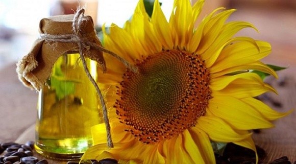 Соняшникова олія: експорт збільшується, ціни на соняшник падають фото, ілюстрація