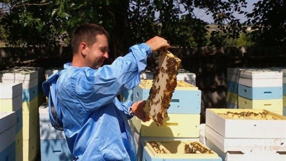 Стільниковий мед з Луганщини продаватимуть в Японії фото, ілюстрація