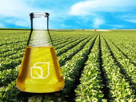 Bunge планує розширення потужностей з виробництва біодизелю на основі сої в США фото, ілюстрація