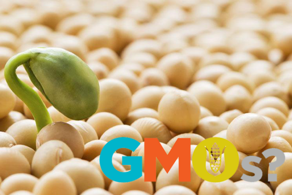 В Україні ніякого контролю за вирощуванням ГМО-сої нема, - "Арніка" фото, ілюстрація