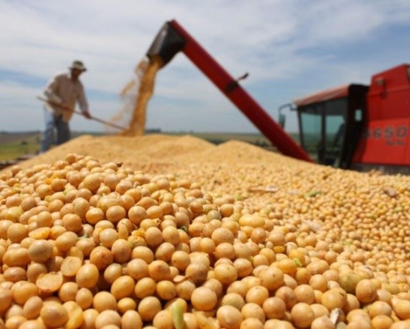 Жнива-2020: в Україні зібрано урожай зернових та зернобобових майже з 80% площ фото, ілюстрація