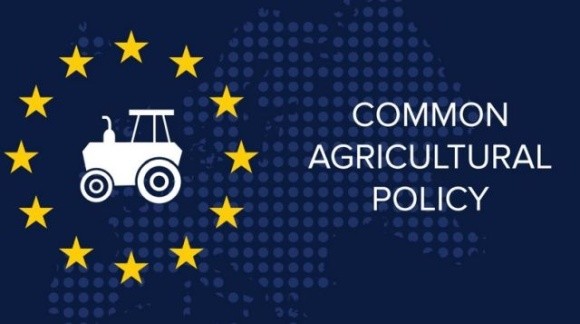 Почалась реалізація спільної сільськогосподарської політики ЄС на 2023-2027 роки фото, иллюстрация