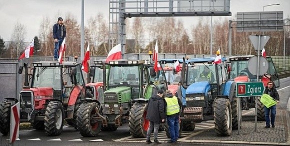 На становище польських фермерів українське зерно не впливає, – дослідження фото, ілюстрація