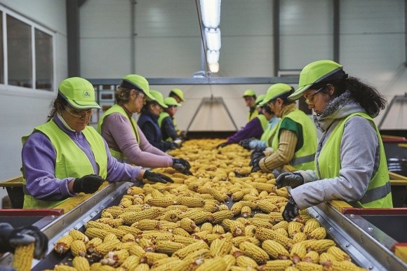 Corteva Agriscience повністю забезпечила сільгоспвиробників насінням та засобами захисту до посівної-2021 фото, ілюстрація