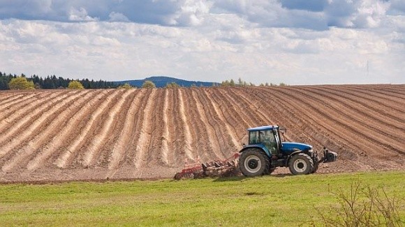 Ставки на аукціонах з оренди державних сільгоспземель можуть зрости втричі фото, ілюстрація