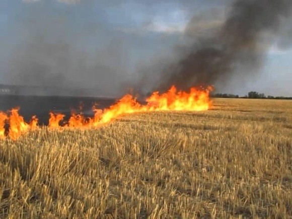 Тернопільський підприємець допоміг рятувальникам загасити пожежу на полі фото, ілюстрація