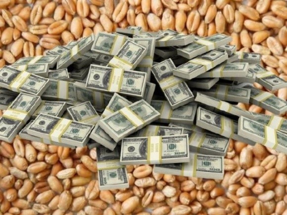 У портах України вартість пшениці сягнула рекордних 10 000 грн/т  фото, ілюстрація