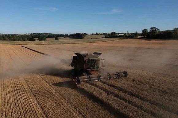 Як подати заявку на субсидію на землю: покрокова інструкція фото, ілюстрація