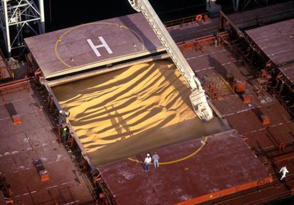Cудновласники реконструюють свої судна, щоб залишитися на ринку зернотрейдерів фото, ілюстрація