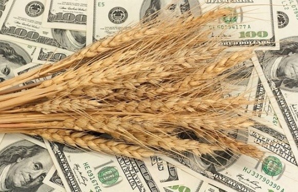 Світові ціни на пшеницю відразу відреагували на тимчасову зупинку експортного коридору фото, ілюстрація