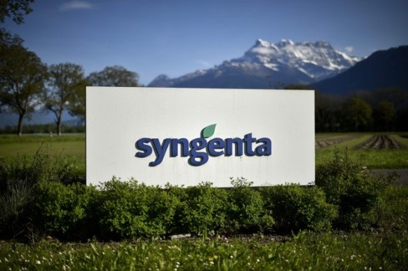 Syngenta спільно з банками-партнерами запустила програму фінансування посівної фото, ілюстрація
