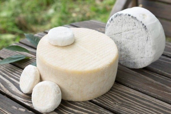 ТОП-13 виробників крафтових сирів в Україні фото, ілюстрація