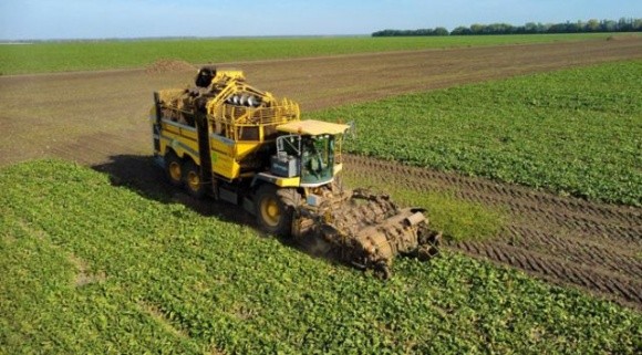 Агрохолдинг ТАС Агро зібрав на Вінниччині перший врожай цукрового буряку фото, ілюстрація