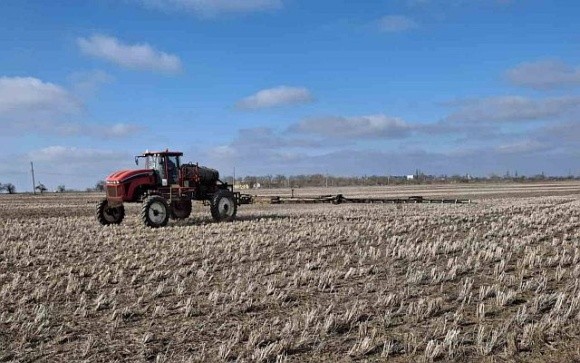 Інновації у підживленні соняшнику: досвід Tekom Agro Group фото, ілюстрація