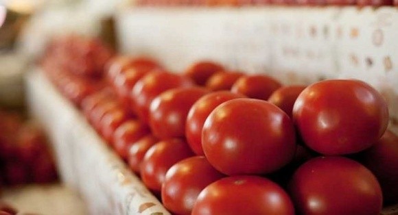 Тепличні комбінати змушені знижувати ціни на помідори фото, ілюстрація