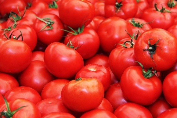 Наприкінці сезону ціни на український тепличний томат почали знижуватись фото, ілюстрація