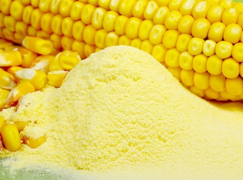 Україна стала основним постачальником кукурудзи в ЄС за підсумками 2018/19 МР фото, ілюстрація