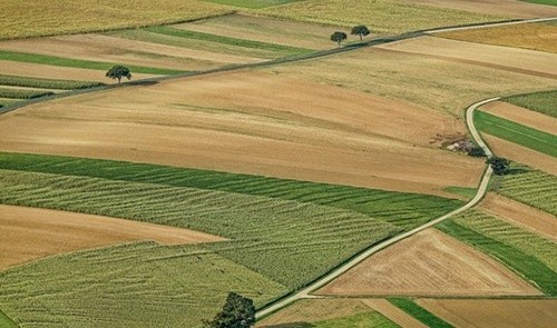 Аграрні асоціації назвали свої умови відкриття ринку землі в Україні, - АТУ фото, ілюстрація