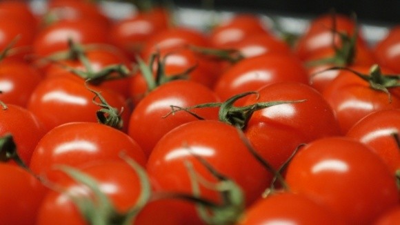  Вчені створили біопластик зі шкірки помідорів фото, ілюстрація