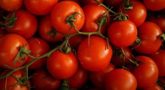 В Україні прогнозують найбільше в світі падіння виробництва томатів фото, ілюстрація