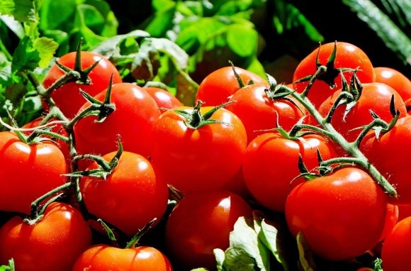 Україна скоротила експорт томатів фото, ілюстрація