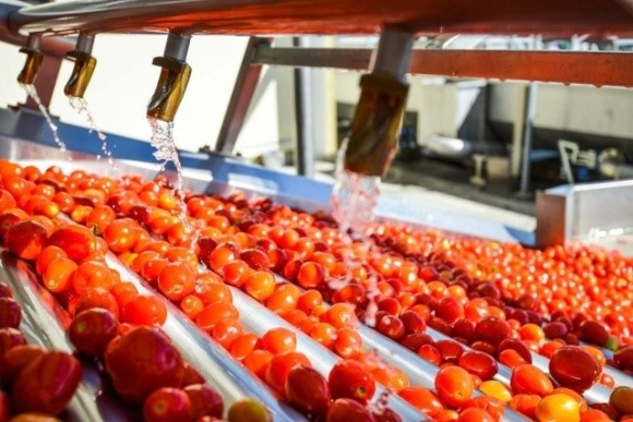 ФГ «Інтегровані агросистеми» отримає кредит у EUR 20 млн для будівництва заводу з переробки томатів фото, ілюстрація