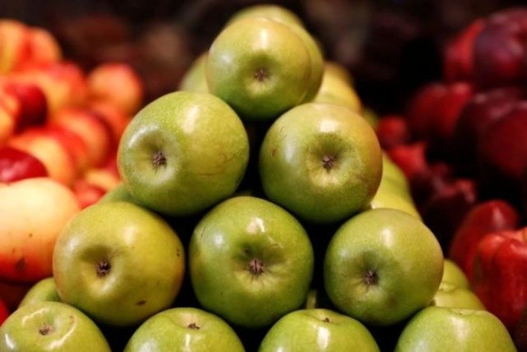 Через посуху у Чернівецькій області якісного яблука не буде фото, ілюстрація