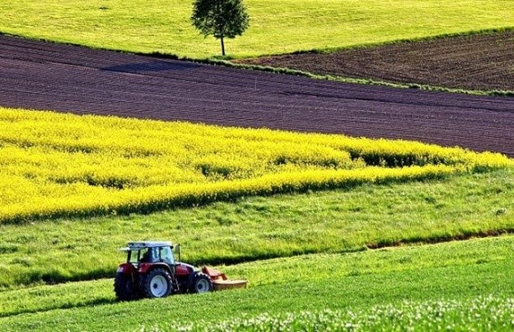 Зміна структури посівів та «розумні датчики» — як європейські фермери долають нестачу добрив фото, ілюстрація