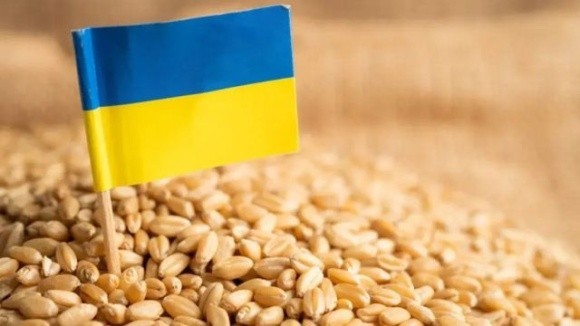 Україна домовилась з Молдовою та Румунією про обмін інформацією щодо транзиту українського зерна фото, ілюстрація