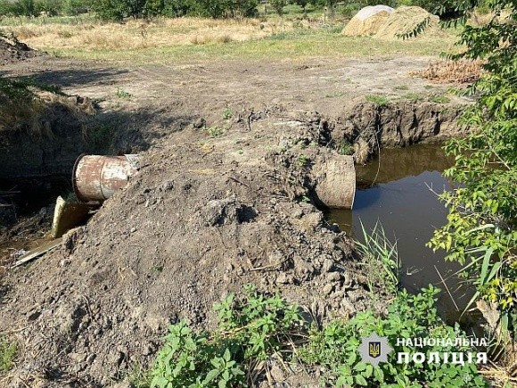 Три роки обмеження волі за поливання кавунів на присадибній ділянці фото, ілюстрація