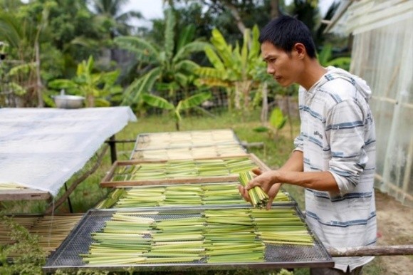 В’єтнамець виготовляє трубочки з рослинної сировини замість пластику фото, ілюстрація