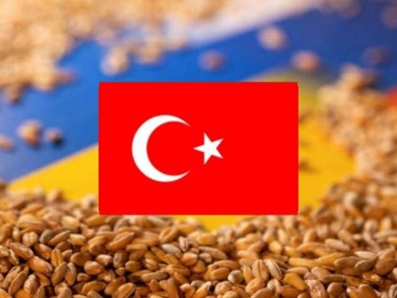 Кораблі під прапором Туреччини можуть рухатись зерновим коридором безперешкодно, — Міноборони Туреччини фото, ілюстрація