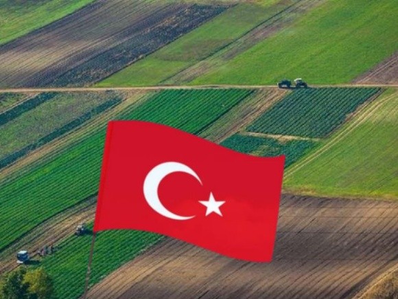 Туреччина хоче орендувати в Україні землі для сільгоспвиробництва фото, ілюстрація
