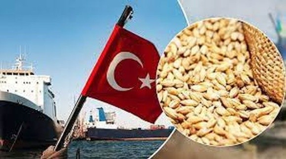 Ердоган заявив, що відновлення зернової угоди залежить не від росії, а від Заходу фото, ілюстрація
