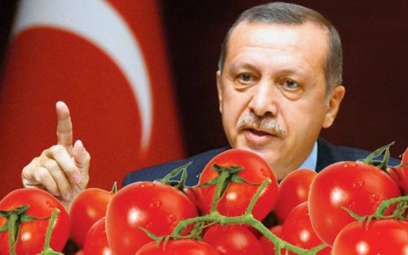 Зеленський та Ердоган домовилися про кроки, що наблизять підписання угоди про вільну торгівлю фото, ілюстрація