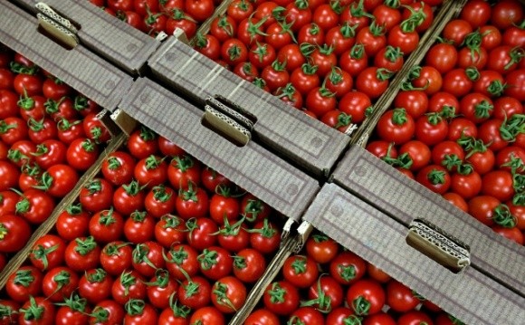 При навалі турецьких помідорів Україна зможе відновити мито, — Качка  фото, ілюстрація