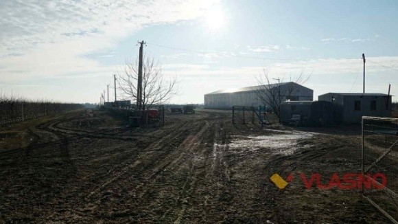 На Вінниччині фермери «відбили» свою землю в екс-регіонала фото, ілюстрація