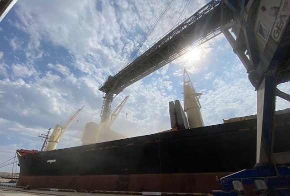 У Польщі спростували чутки про завантаженість портів українським зерном фото, ілюстрація