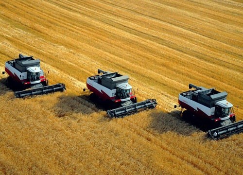 В Україні збирання зернових проведено на 10 млн га фото, ілюстрація
