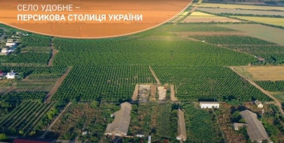 В Одесской области кооператив выращивает лучшие персики фото, иллюстрация